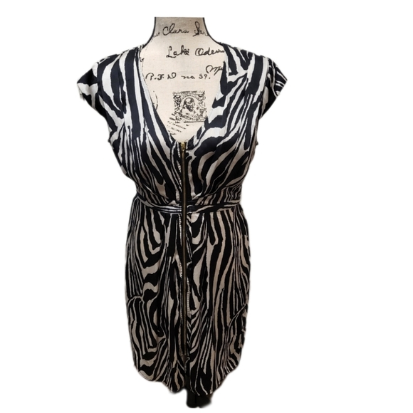 NWOT H&M SILKY DRESS ZEBRA STRIPE FULL ZIP FRONT CLOSURE CAP SLEEVE EMPIRE WAIST - Picture 5 of 7